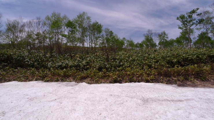 c0212083_20274163.jpg