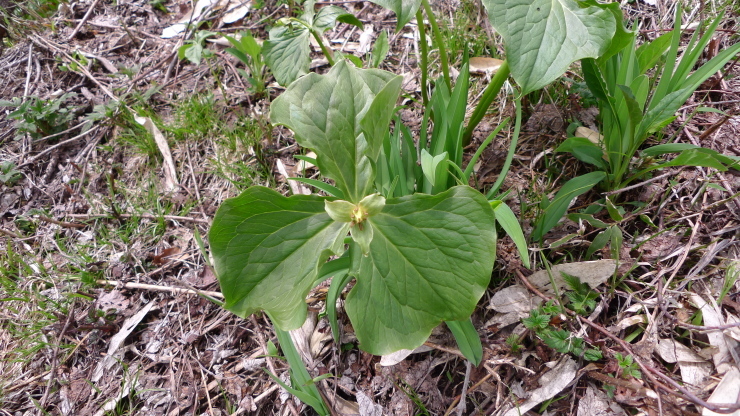 c0212083_20275214.jpg