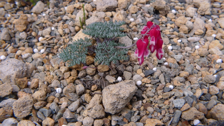 c0212083_20282390.jpg