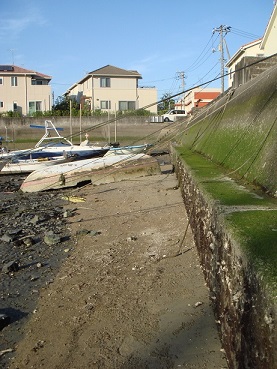 向島・江尻川河口のドブ干潟で陶片拾い　その５_e0060485_2222854.jpg