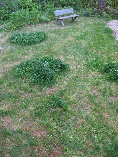 f0355189_15023141.jpg