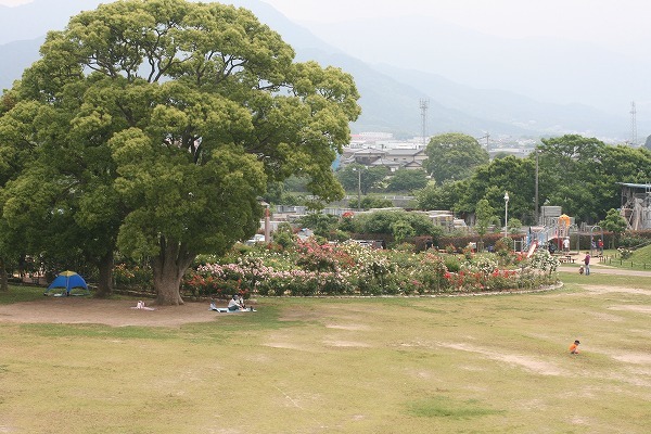 e0082098_20291201.jpg
