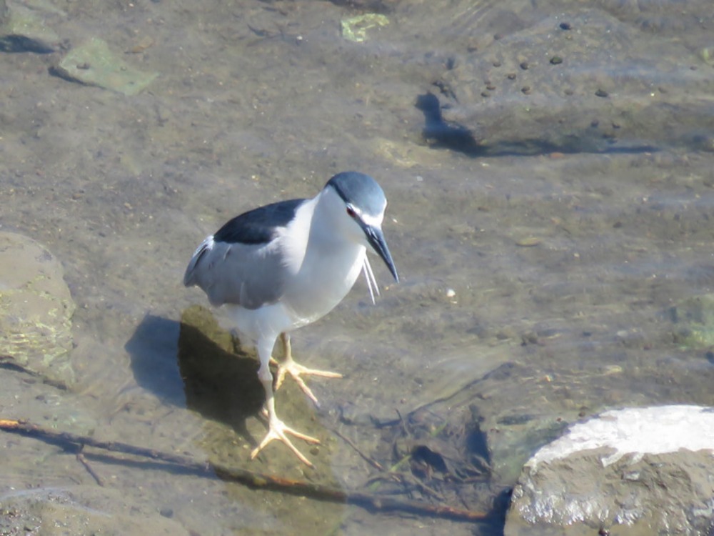 c0049299_2238642.jpg