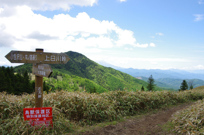 ムスメと歩く５月の大菩薩嶺　その1_a0158802_1115927.jpg