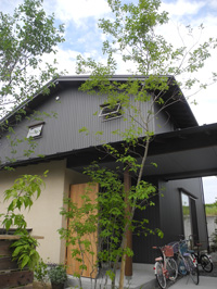 c0049902_74435.jpg