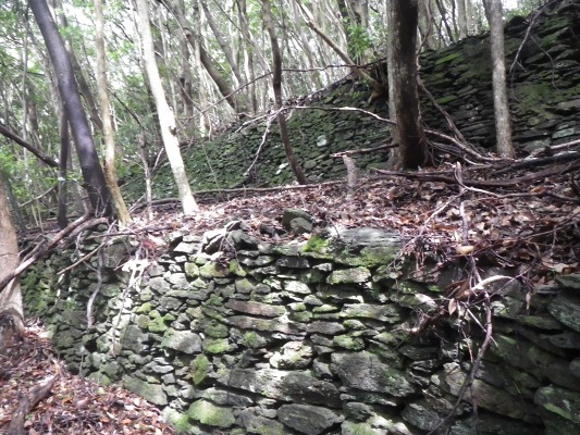 f0187402_21521.jpg