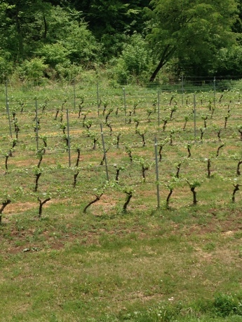 f0250403_08561200.jpg