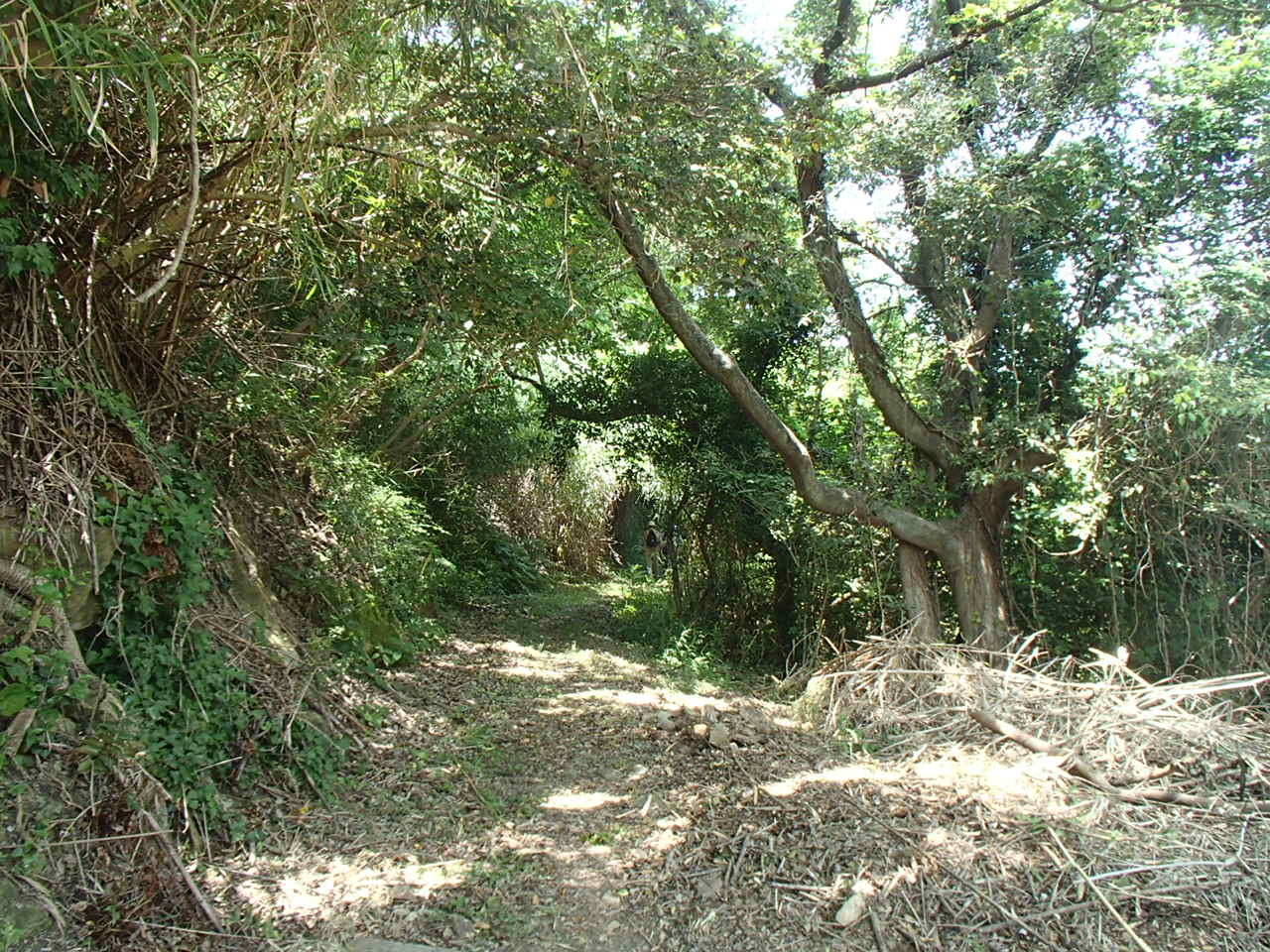 c0367107_08293752.jpg