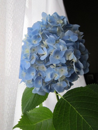 e0204508_2352937.jpg