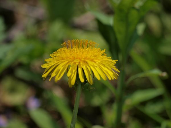 c0164709_21535399.jpg