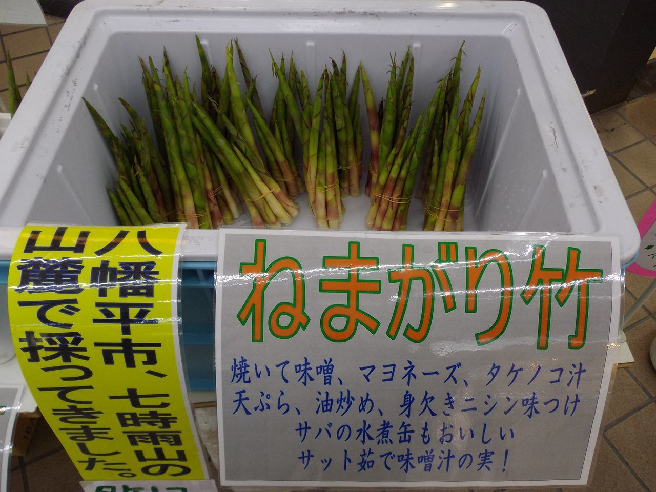札幌へ_c0025115_21550256.jpg