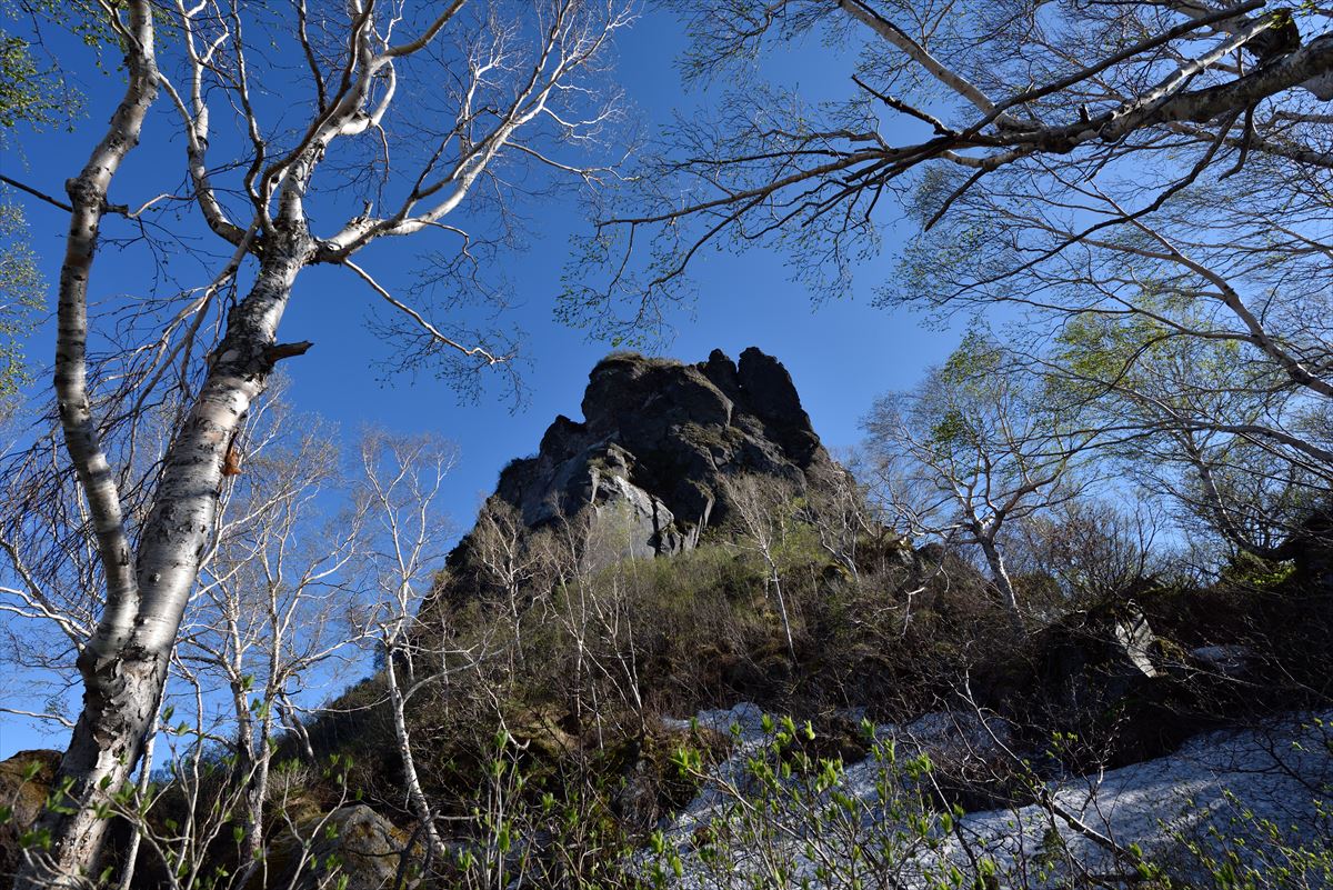 恵庭岳 ～ 初めて真の山頂へ！”　2015.5.31_a0145819_1612533.jpg