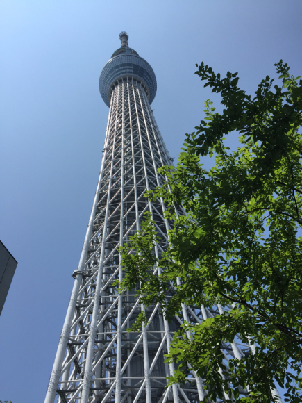 f0267023_16461723.jpg
