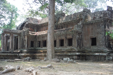 d0167041_204345.jpg