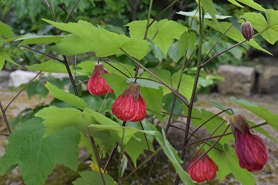 f0343750_18163419.jpg