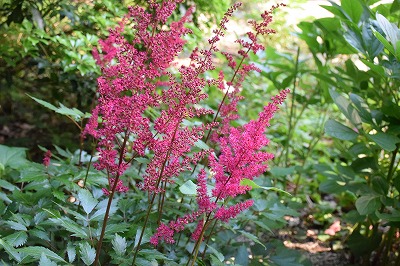 f0343750_1816515.jpg