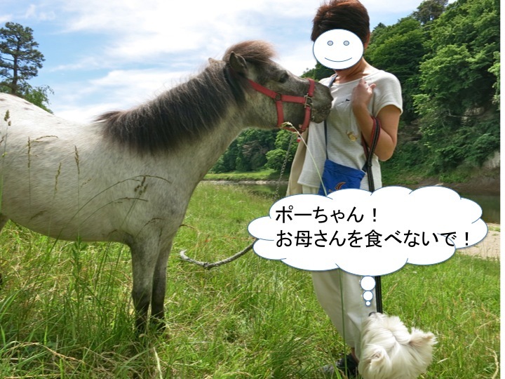 ミミズジャーキロードとポーちゃんとカーちゃん_c0260460_13282493.jpg