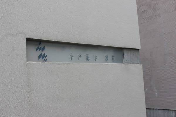 小坪海岸凛花 My Place 小坪海岸凛花 My Place