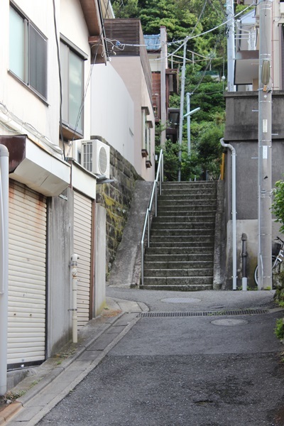 小坪海岸凛花 My Place 小坪海岸凛花 My Place