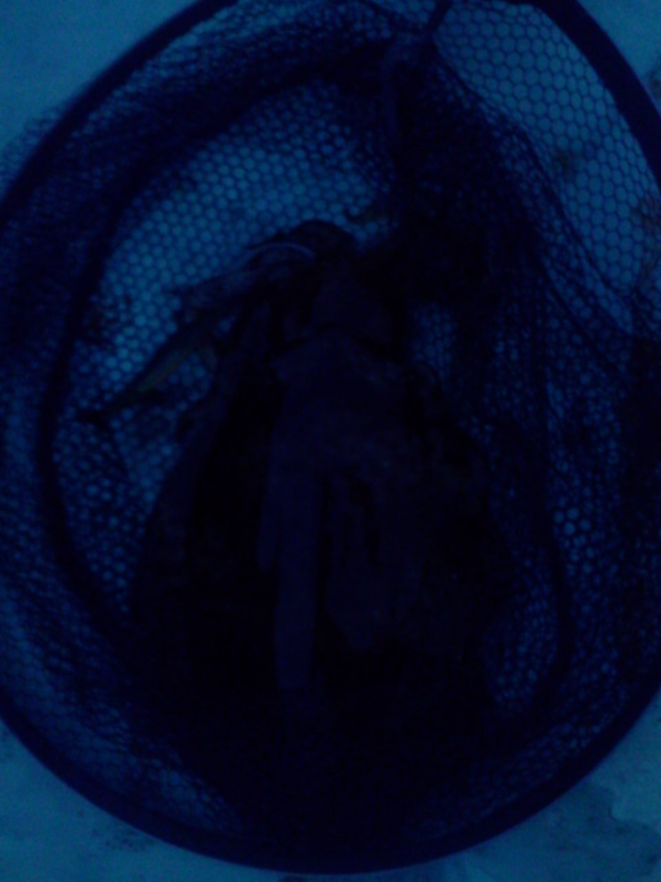 e0204372_21205613.jpg