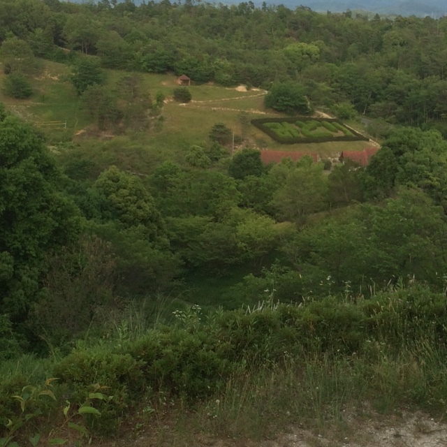 e0202279_21060335.jpg