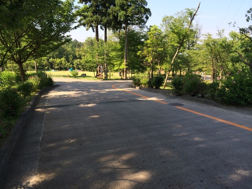 e0243485_9573612.jpg
