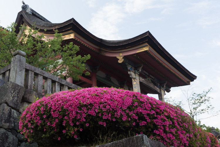 清水寺_e0051888_6311111.jpg