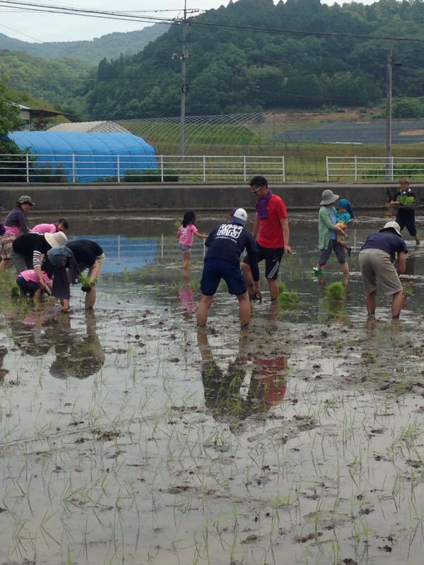 福山瑞冠倶楽部田植えツアー2015！！_e0202291_9544287.jpg