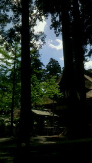 f0168392_22374378.jpg