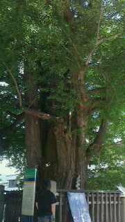 f0168392_22420427.jpg