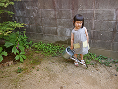 a0118993_12393061.jpg