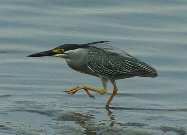 b0028598_20151977.jpg