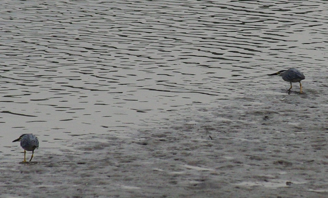 b0028598_2091850.jpg