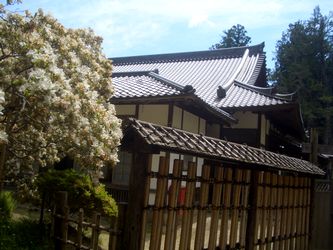 松島・瑞巌寺 @仙台美術散歩 2015 その2_b0044404_1722163.jpg
