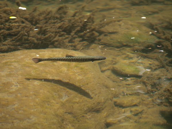 c0164709_21565480.jpg