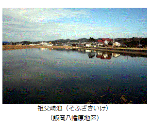 f0231709_20554383.gif