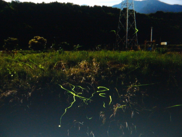f0231709_21142523.jpg