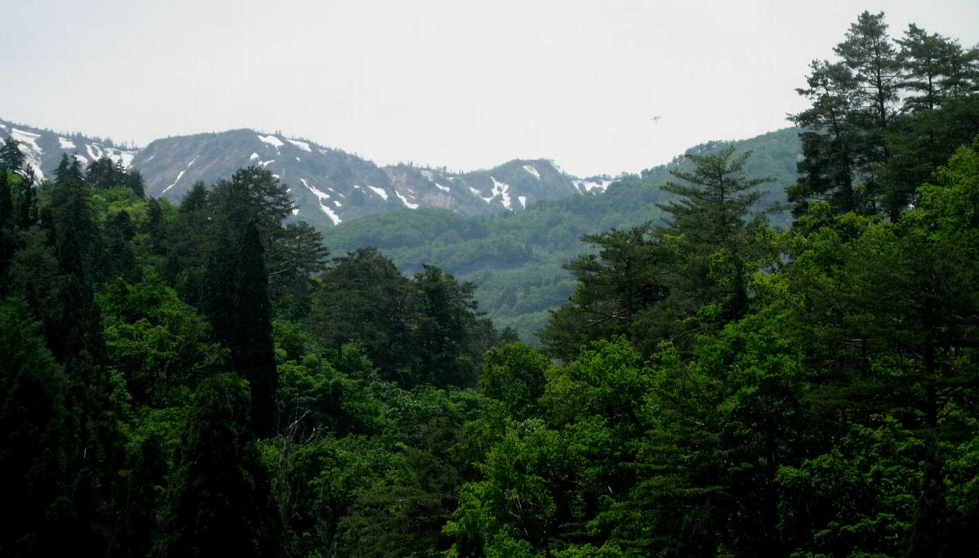 e0003910_12352221.jpg