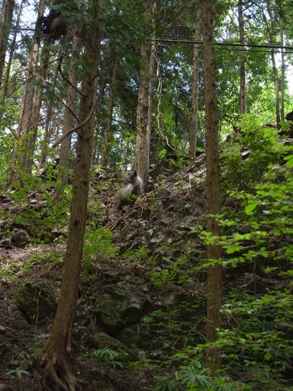 遭遇_e0276411_23303047.jpg