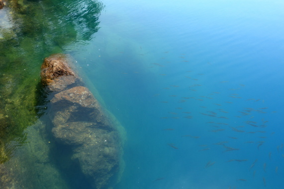 d0181314_101437.jpg