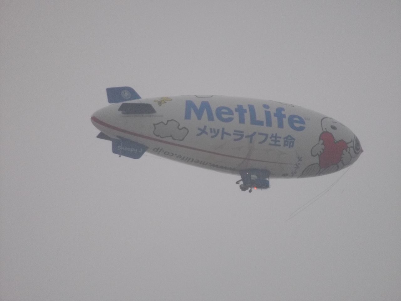 ほとんど晴れなかった一日_c0025115_19003551.jpg