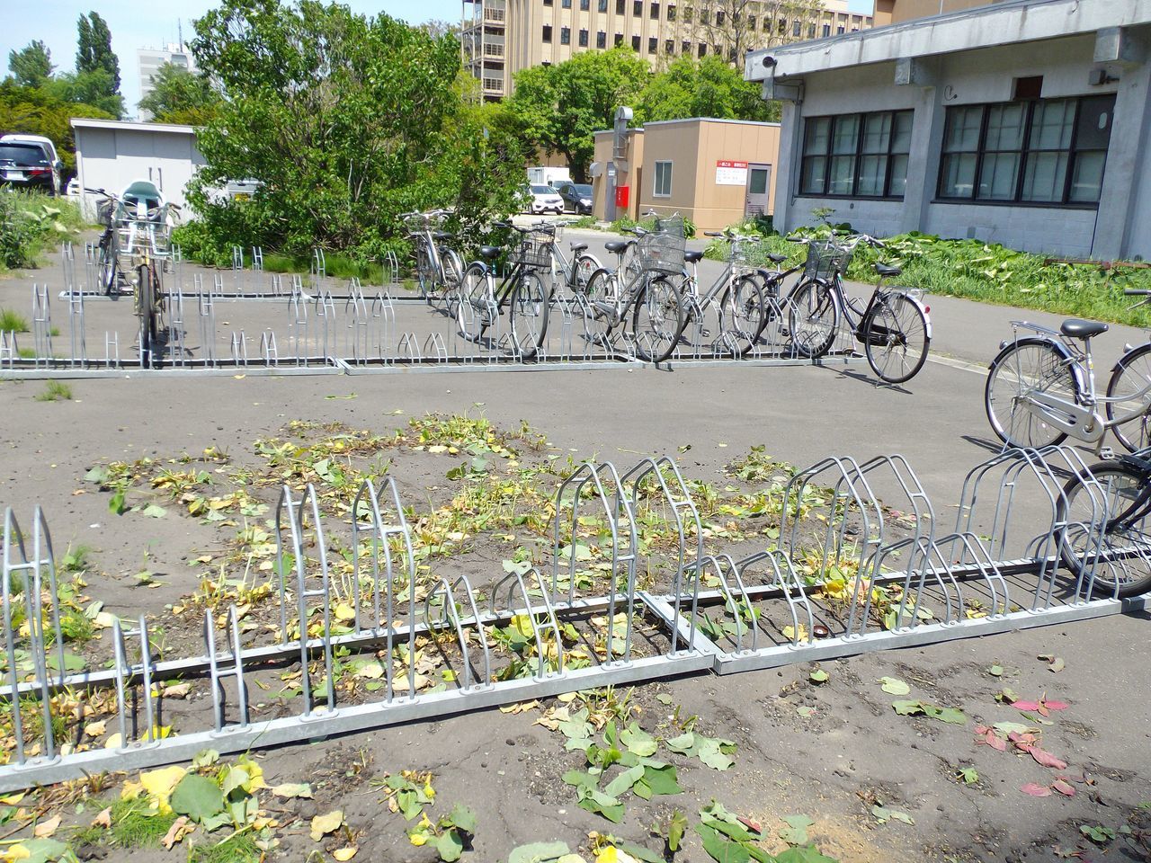 ほとんど晴れなかった一日_c0025115_19032563.jpg