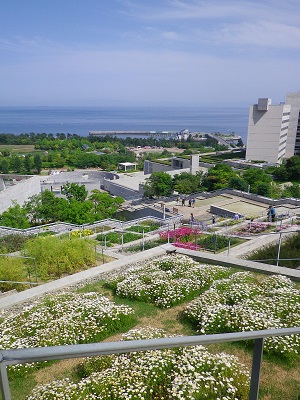 淡路島へ　～3日目　最終日～_b0102728_9343276.jpg