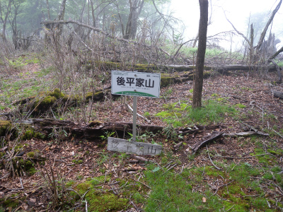 e0272335_1518780.jpg