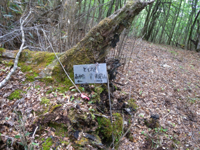 e0272335_15292234.jpg