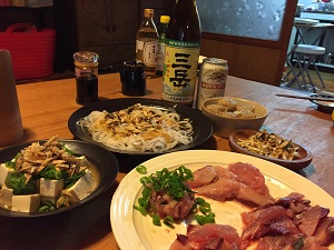 屋久島の海Ⅱ_f0233340_16425661.jpg