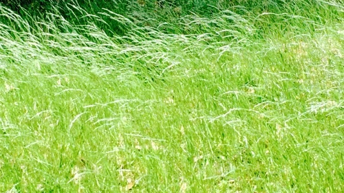 c0357242_23494457.jpg