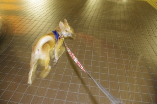 c0266644_021359.jpg