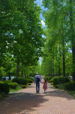 みちのく湖畔公園_a0169547_01890.jpg