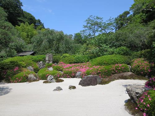 【北鎌倉・明月院】3年ぶりの紫陽花_b0009849_1655455.jpg